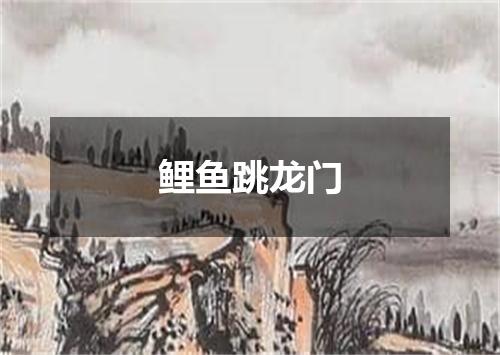 鲤鱼跳龙门