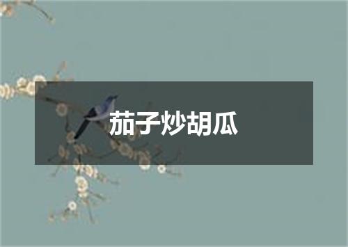 茄子炒胡瓜