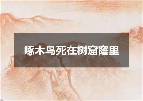 啄木鸟死在树窟窿里