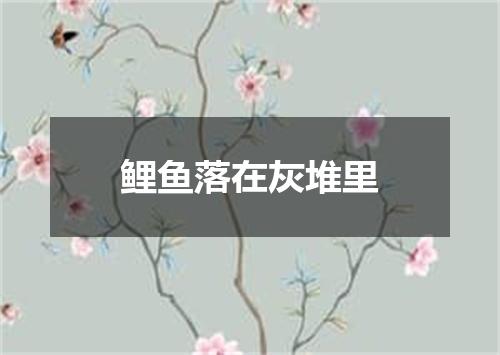 鲤鱼落在灰堆里