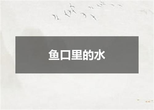 鱼口里的水