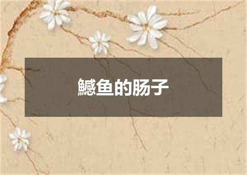 鱤鱼的肠子