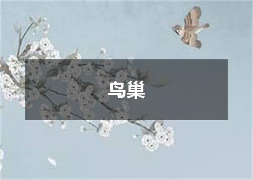 鸟巢