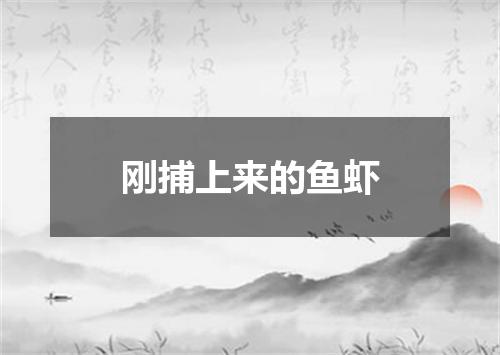 刚捕上来的鱼虾
