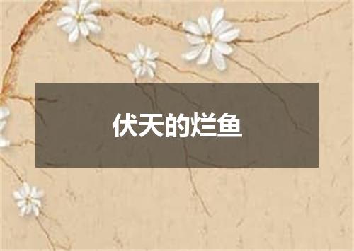 伏天的烂鱼