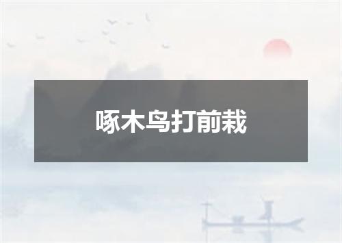 啄木鸟打前栽