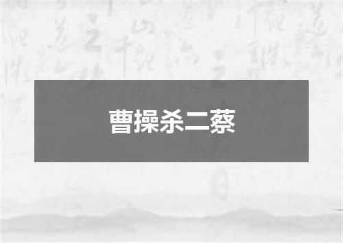 曹操杀二蔡