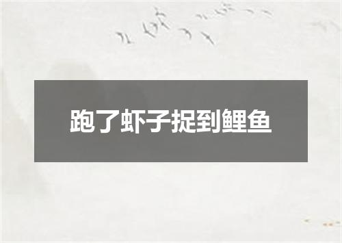 跑了虾子捉到鲤鱼
