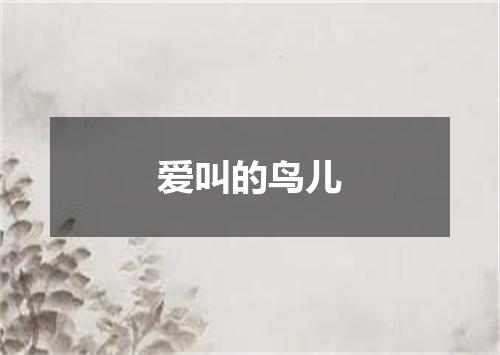 爱叫的鸟儿
