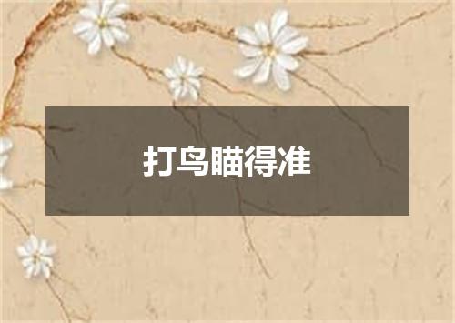 打鸟瞄得准