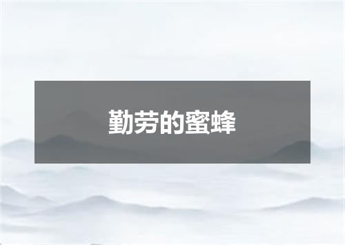 勤劳的蜜蜂