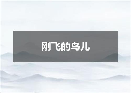 刚飞的鸟儿