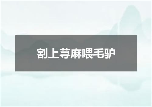 割上荨麻喂毛驴