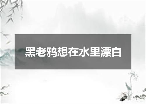 黑老鸦想在水里漂白