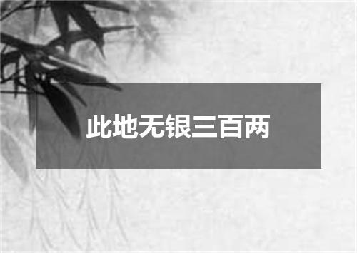 此地无银三百两