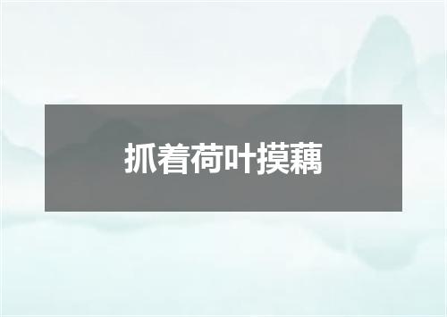抓着荷叶摸藕