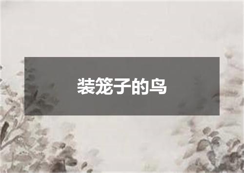 装笼子的鸟