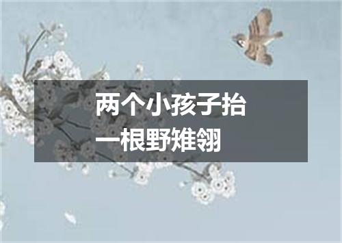两个小孩子抬一根野雉翎