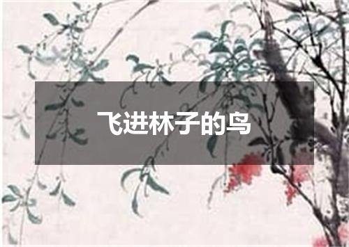 飞进林子的鸟