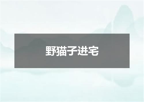 野猫子进宅