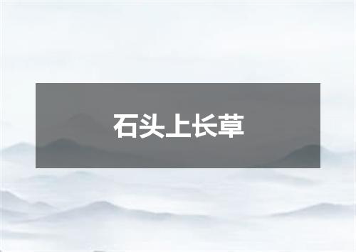 石头上长草