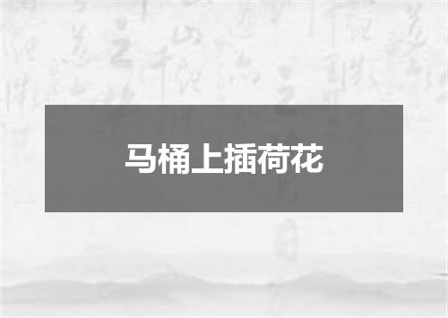 马桶上插荷花