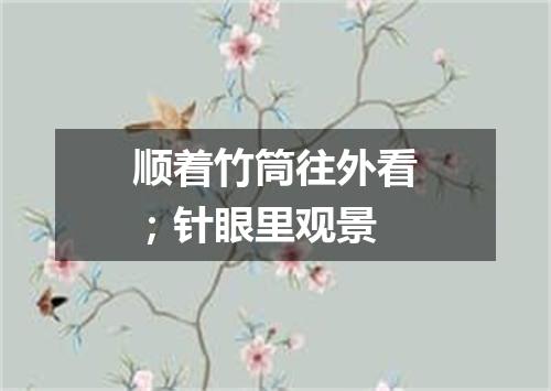 顺着竹筒往外看；针眼里观景