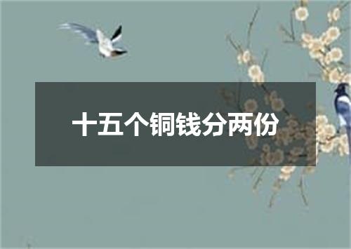 十五个铜钱分两份