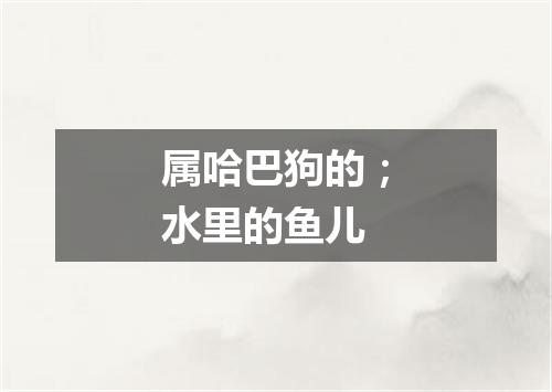 属哈巴狗的；水里的鱼儿