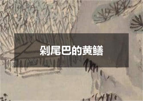 剁尾巴的黄鳝