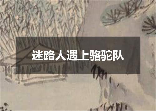 迷路人遇上骆驼队