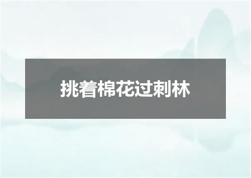 挑着棉花过刺林