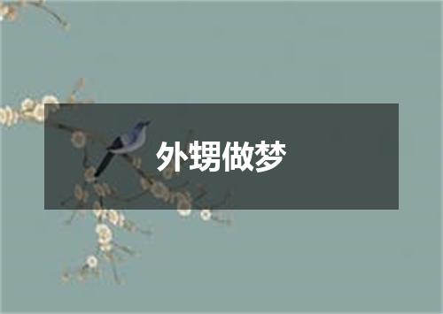 外甥做梦