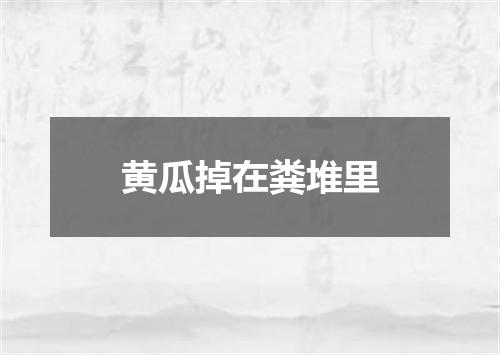 黄瓜掉在粪堆里