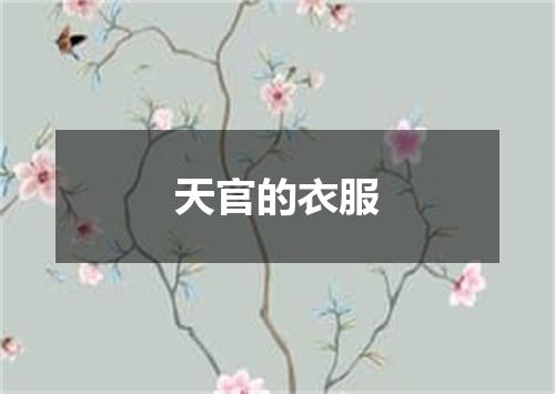 天官的衣服