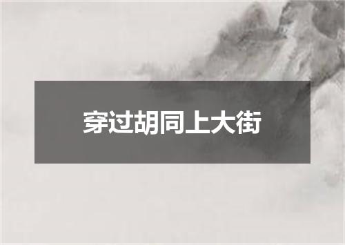 穿过胡同上大街