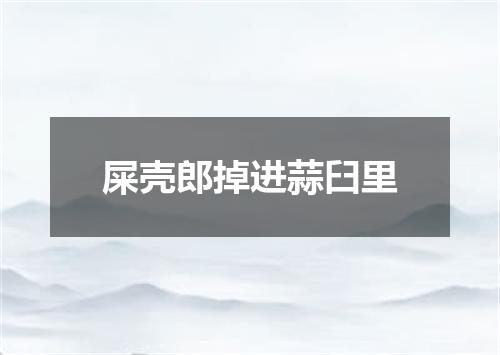 屎壳郎掉进蒜臼里