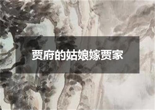 贾府的姑娘嫁贾家