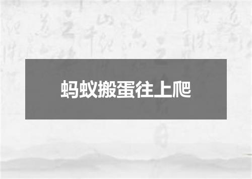蚂蚁搬蛋往上爬