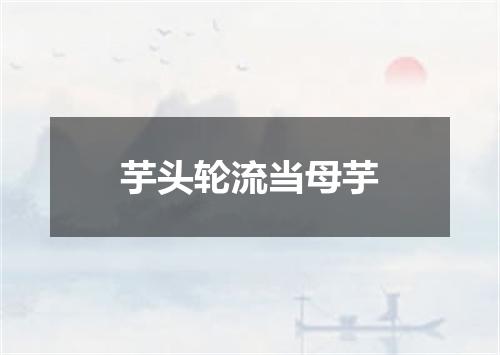 芋头轮流当母芋