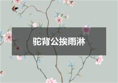 驼背公挨雨淋