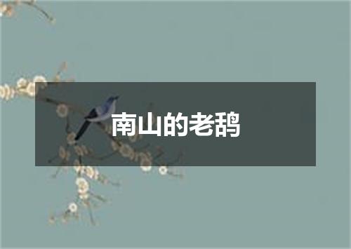 南山的老鸹