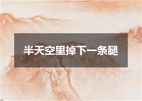 半天空里掉下一条腿