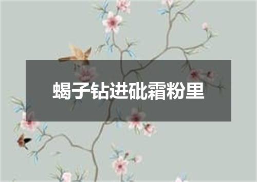 蝎子钻进砒霜粉里
