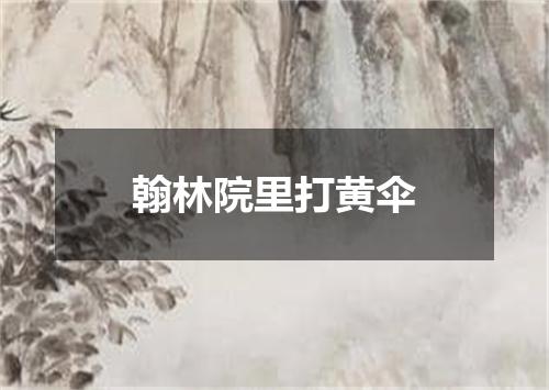 翰林院里打黄伞
