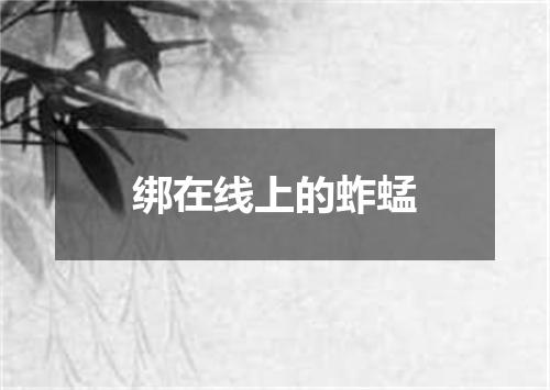 绑在线上的蚱蜢