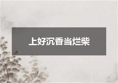 上好沉香当烂柴