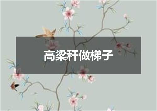 高梁秆做梯子