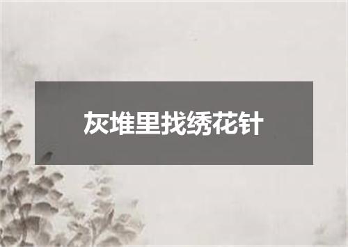 灰堆里找绣花针