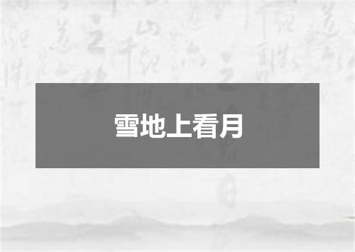 雪地上看月